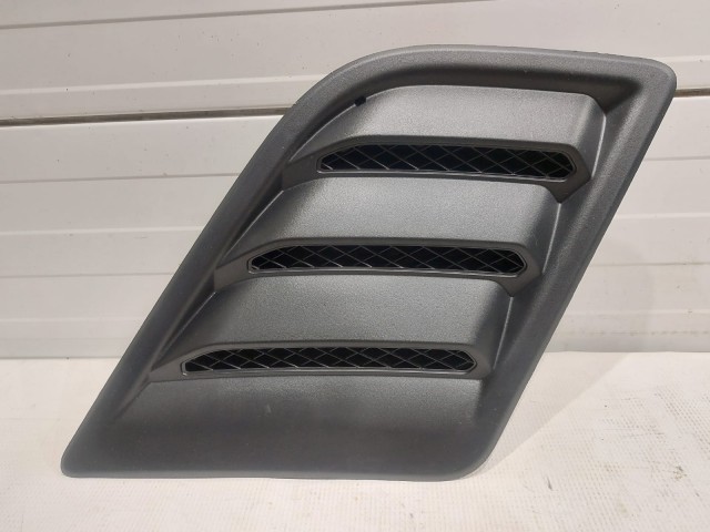 Hood Bezel, LH
